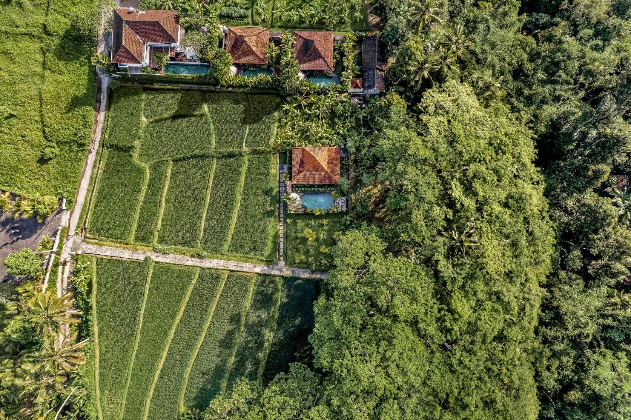 Ratni Ubud Villa Ngoại thất bức ảnh